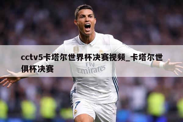 cctv5卡塔尔世界杯决赛视频_卡塔尔世俱杯决赛
