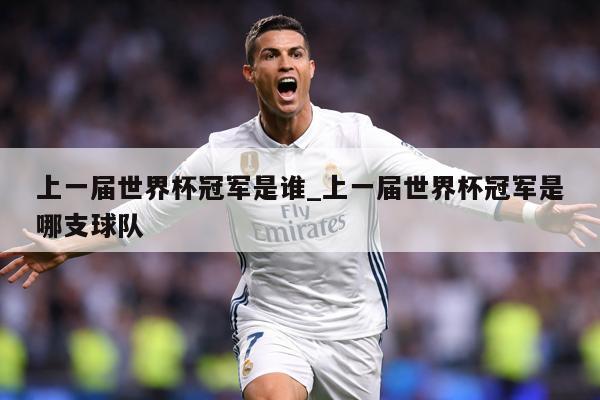 上一届世界杯冠军是谁_上一届世界杯冠军是哪支球队