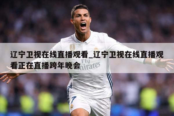 辽宁卫视在线直播观看_辽宁卫视在线直播观看正在直播跨年晚会