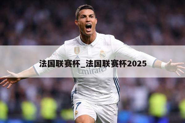 法国联赛杯_法国联赛杯2025