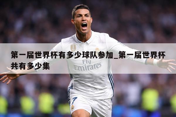 第一届世界杯有多少球队参加_第一届世界杯共有多少集
