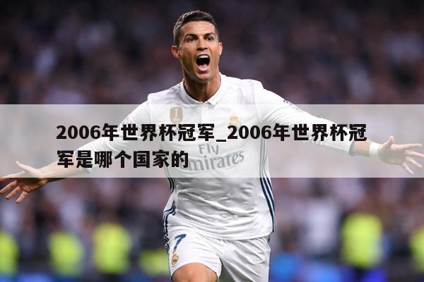 2006年世界杯冠军_2006年世界杯冠军是哪个国家的