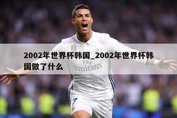 2002年世界杯韩国_2002年世界杯韩国做了什么