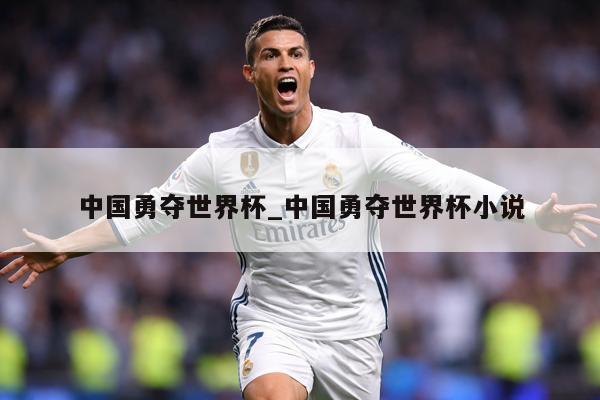 中国勇夺世界杯_中国勇夺世界杯小说