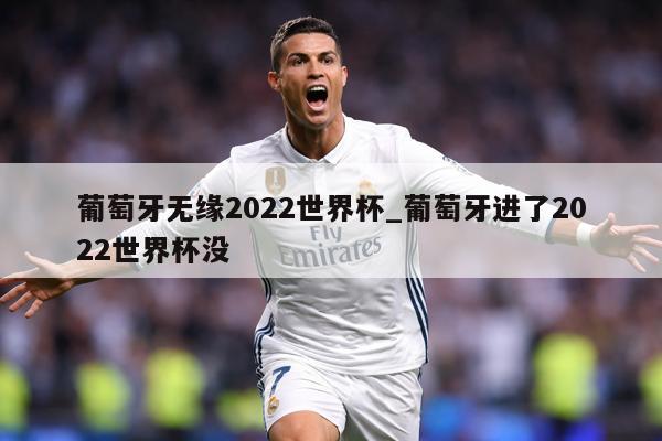 葡萄牙无缘2022世界杯_葡萄牙进了2022世界杯没