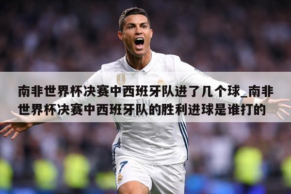 南非世界杯决赛中西班牙队进了几个球_南非世界杯决赛中西班牙队的胜利进球是谁打的