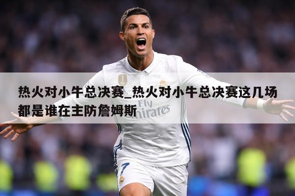 热火对小牛总决赛_热火对小牛总决赛这几场都是谁在主防詹姆斯
